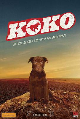 Koko：红犬历险记海报剧照